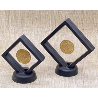 Floating Medallion Holder*